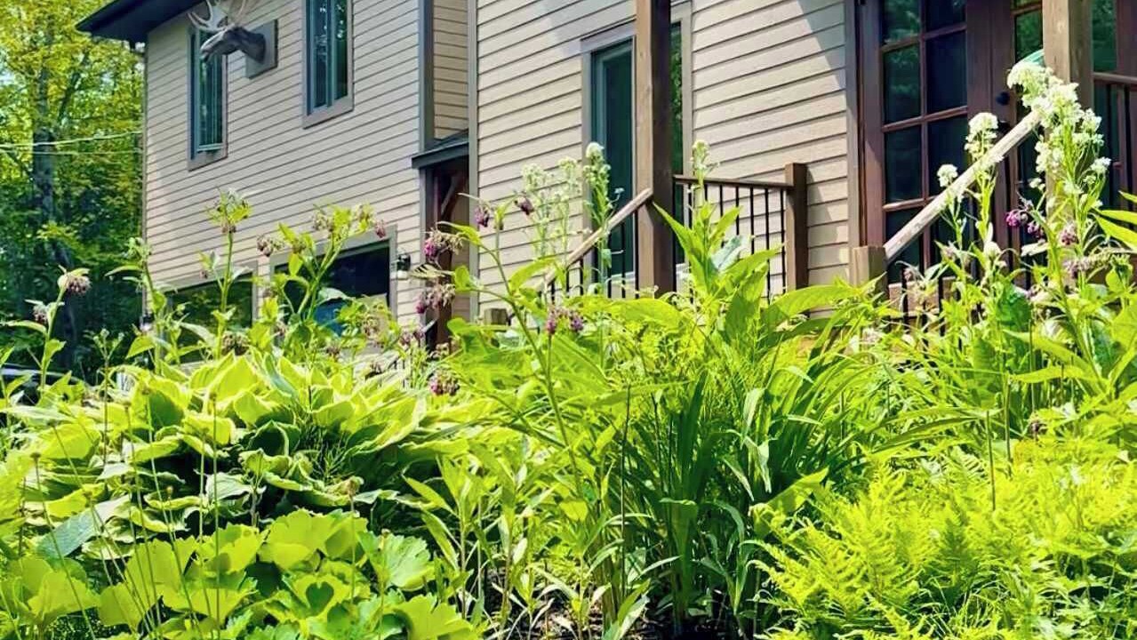 Photo of Outdoor in Morin Heights