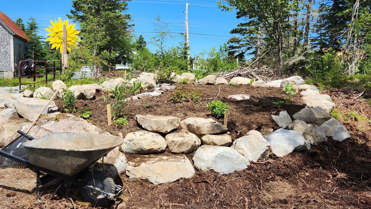 Photo of Outdoor in Lunenburg County