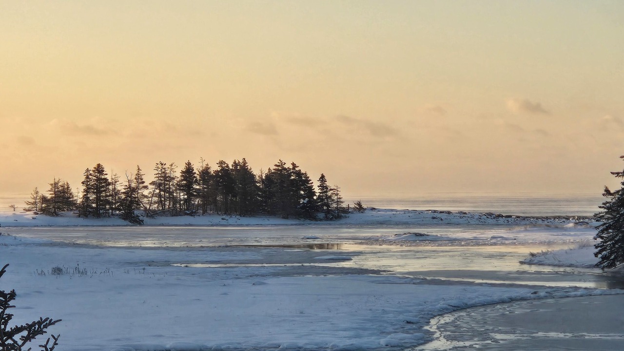 Photo of Others in Lunenburg County