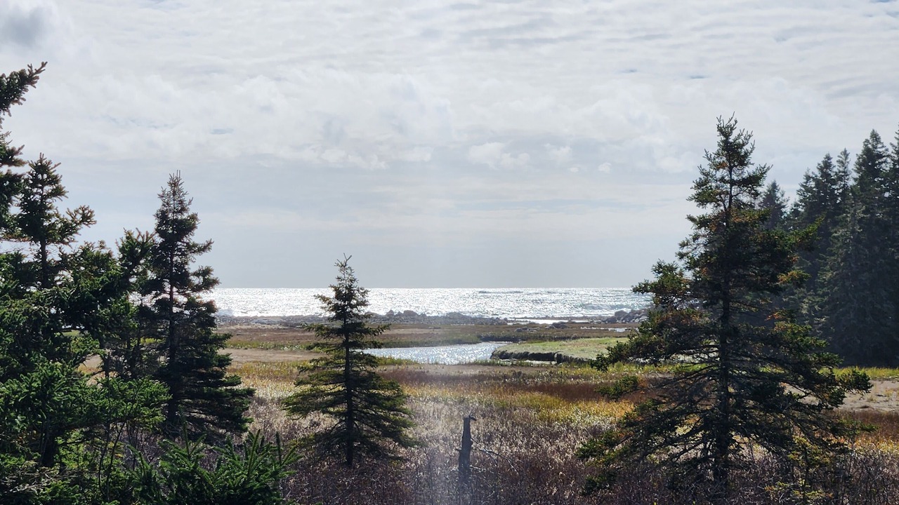 Photo of Others in Lunenburg County