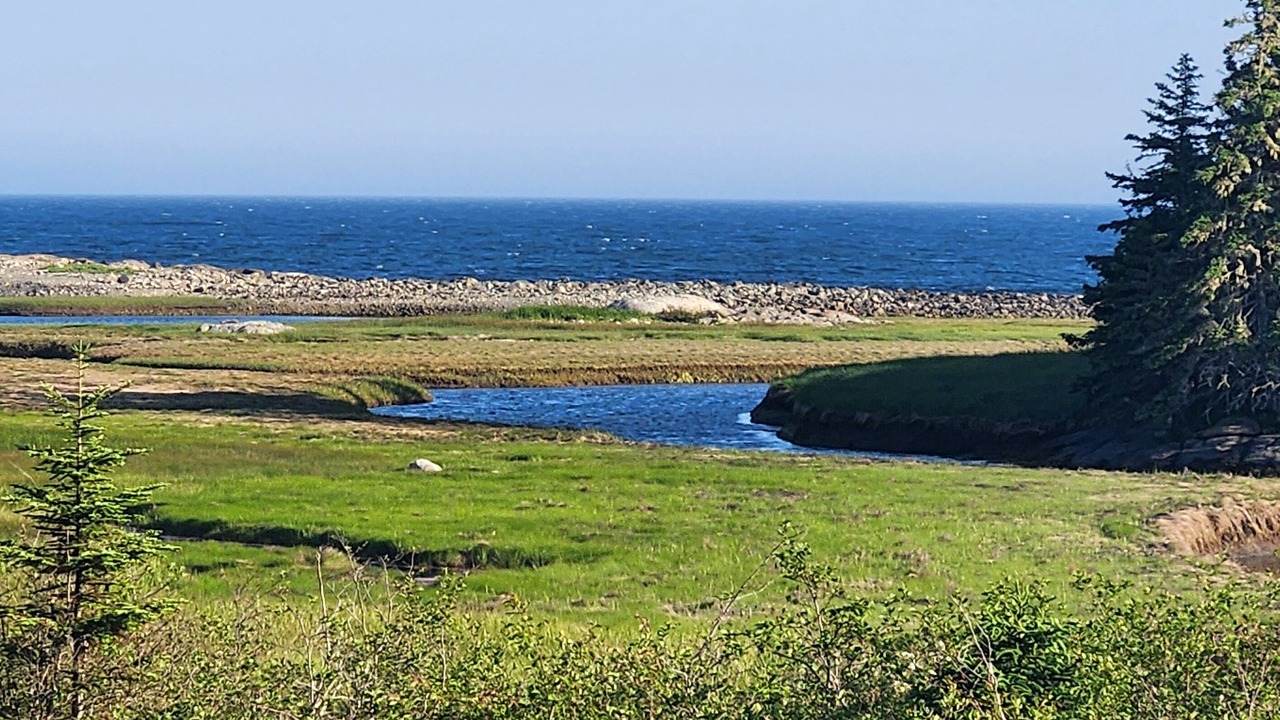 Photo of Others in Lunenburg County