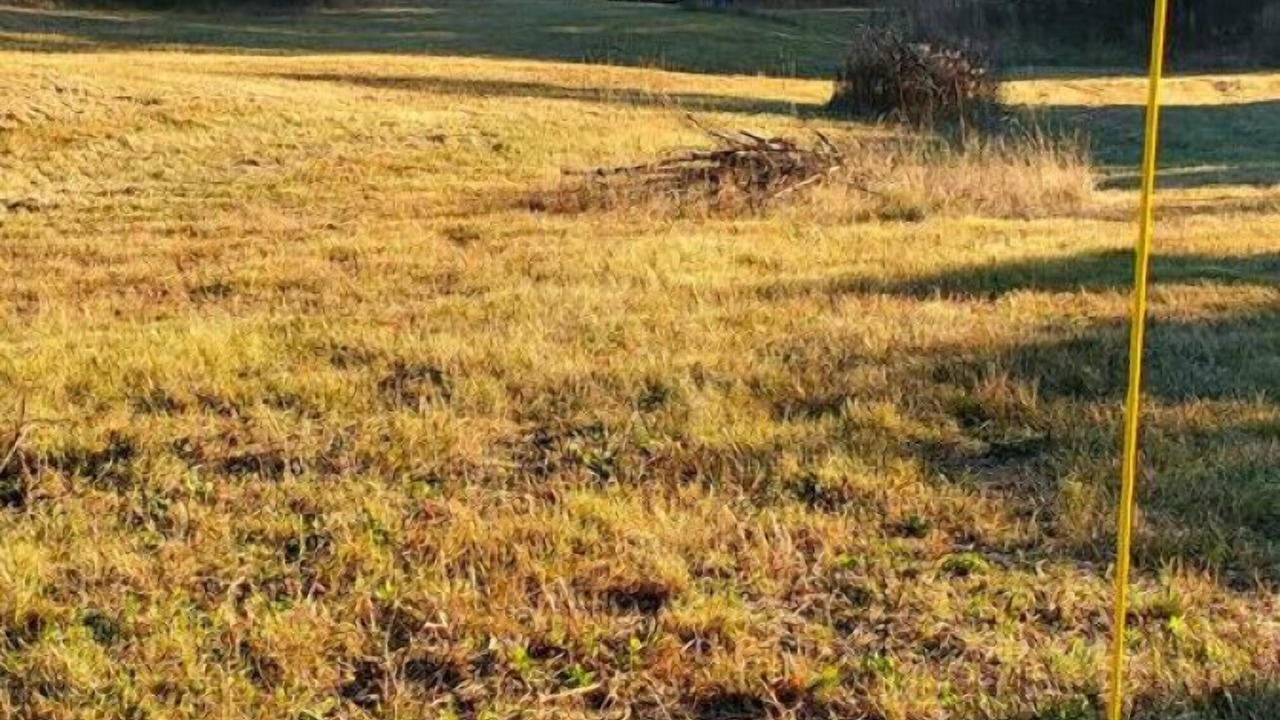 Photo of Outdoor in Saint-Tite-des-Caps
