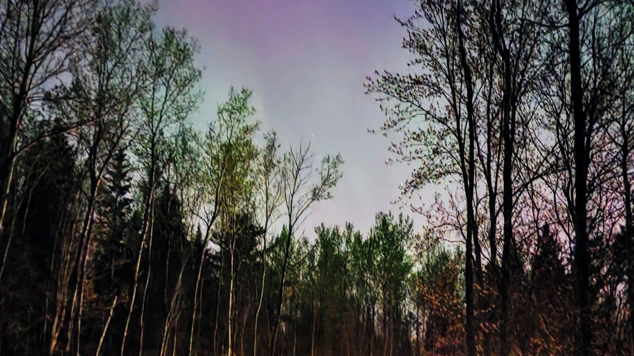 Photo of Outdoor in Mauricie