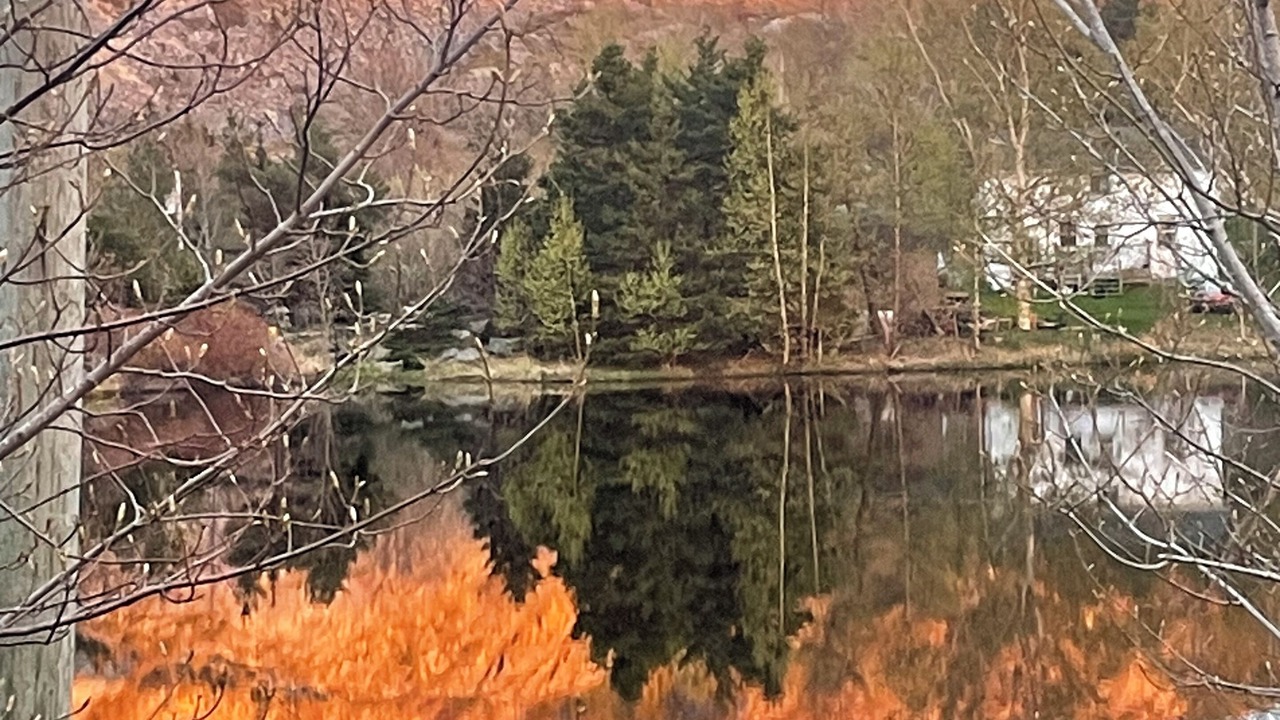 Photo of Others in Brigus