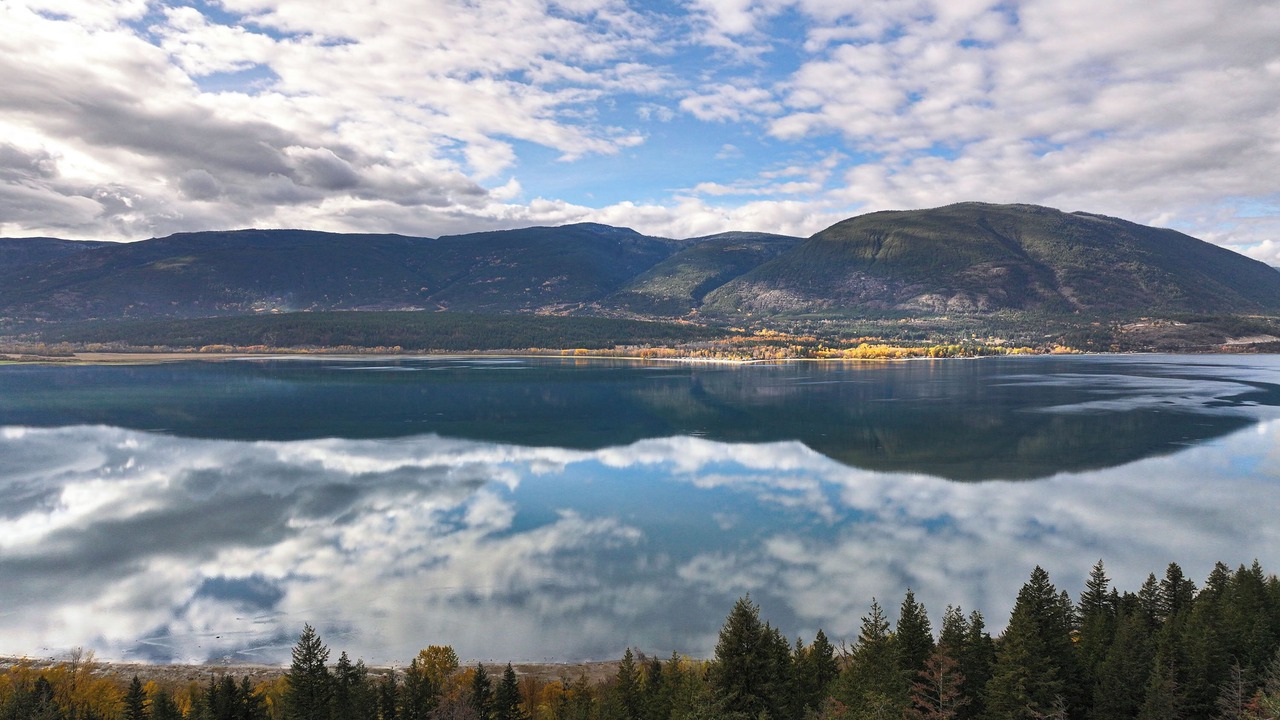 Photo of Others in Salmon Arm