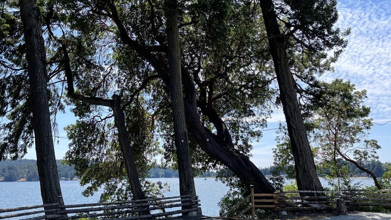Photo of Outdoor in Sooke