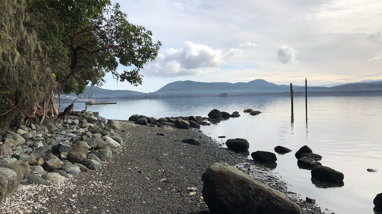 Photo of Others in Sooke