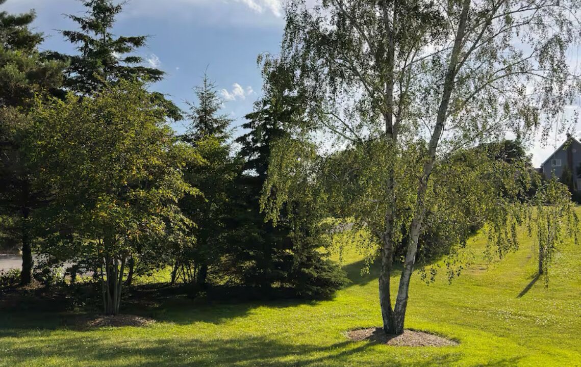 Photo of Outdoor in Lincoln