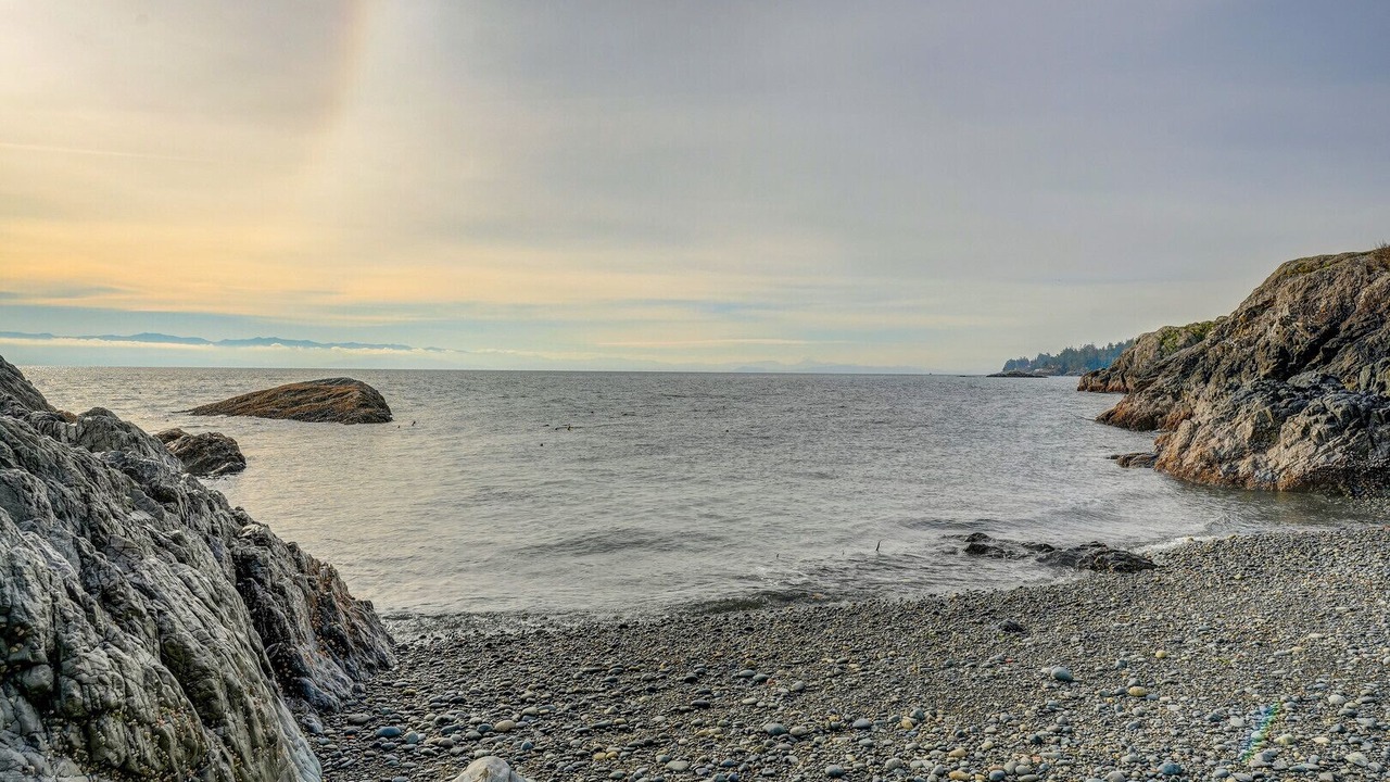Photo of Others in Sooke