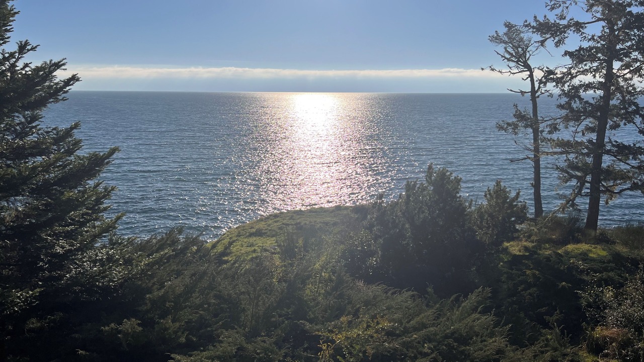 Photo of Others in Sooke