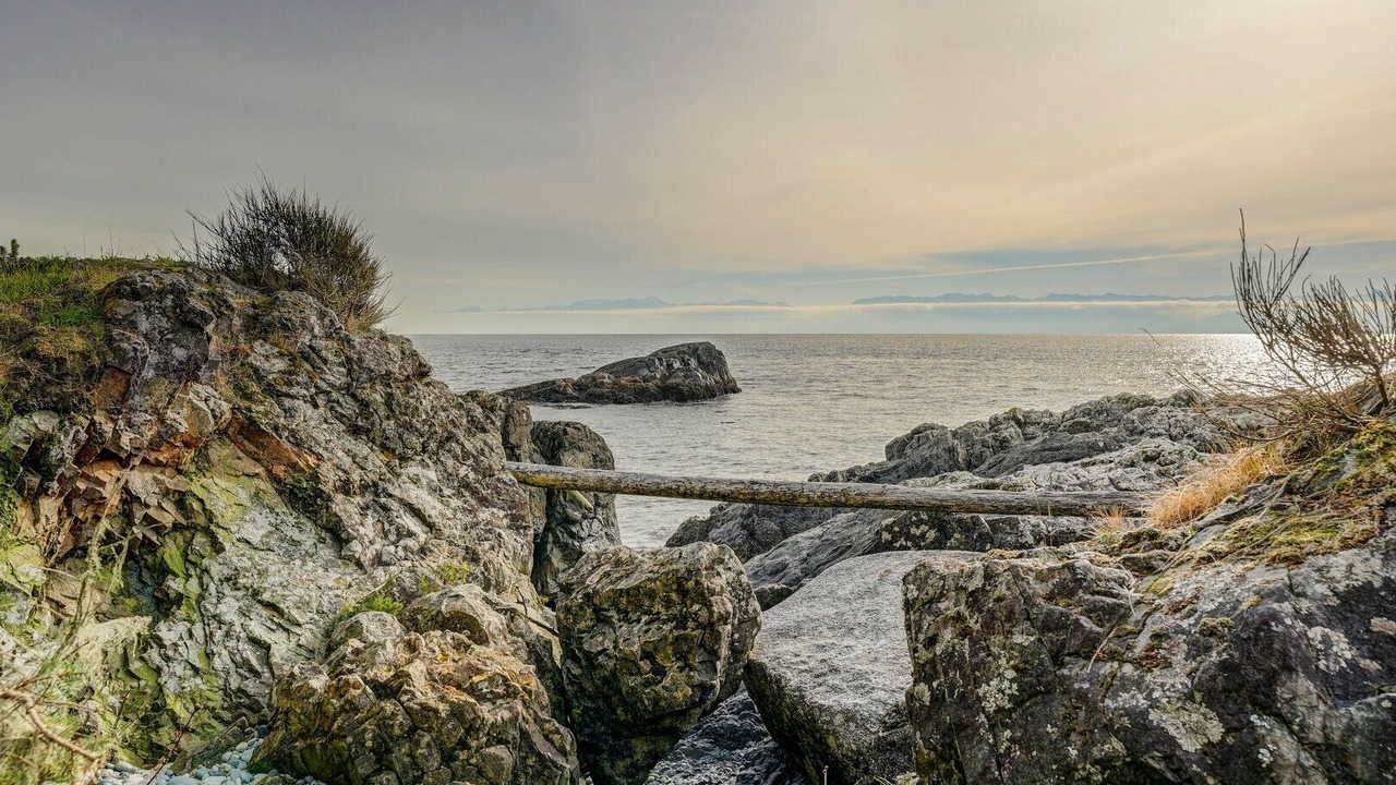 Photo of Others in Sooke