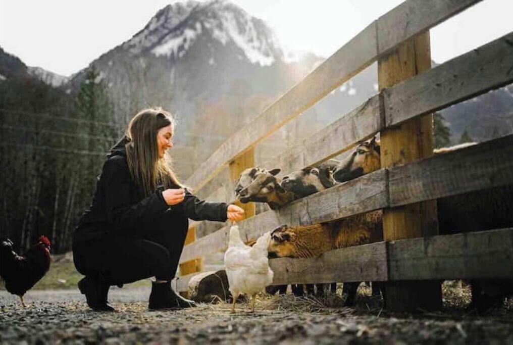 Photo of Others in Squamish