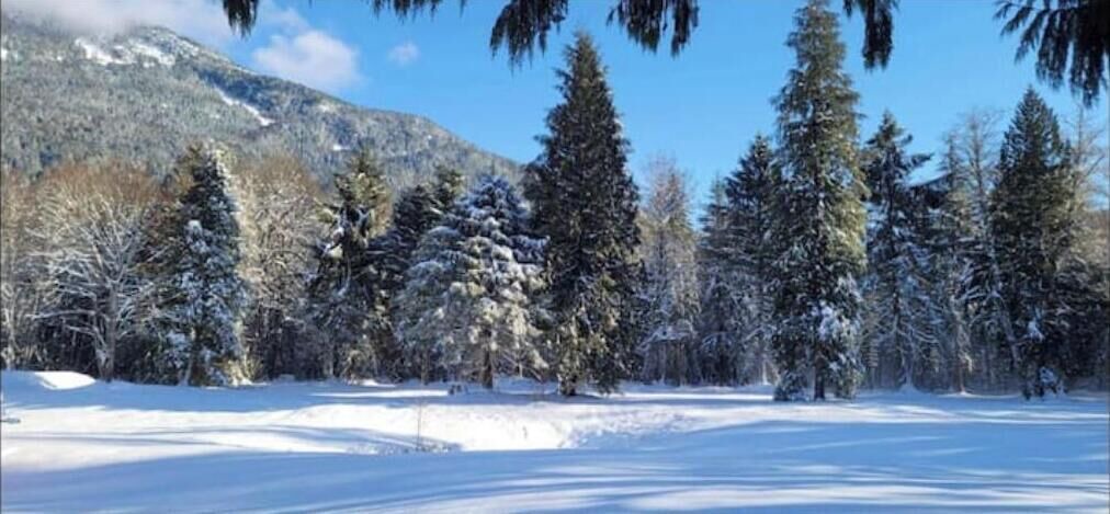 Photo of Others in Squamish