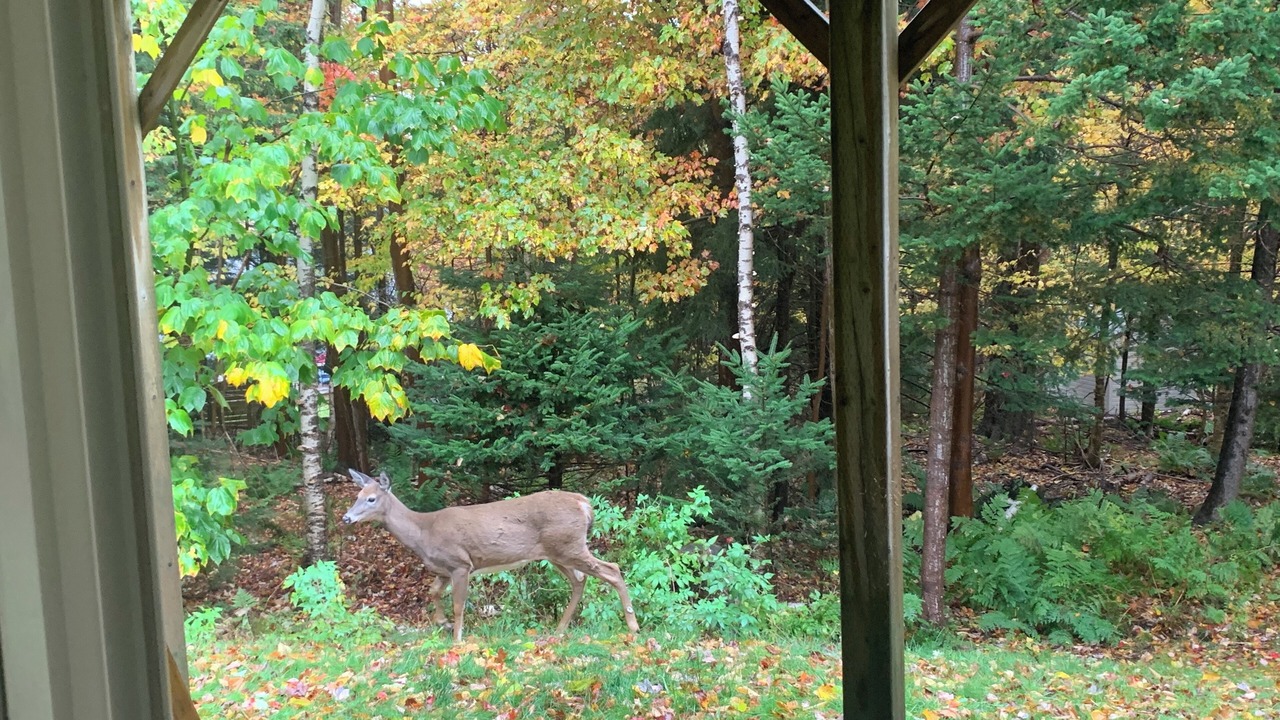 Photo of Others in Quispamsis