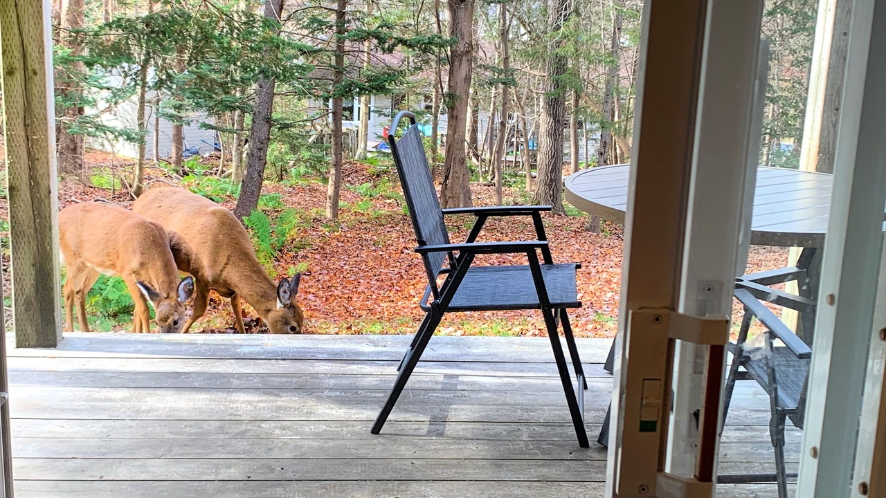 Photo of Others in Quispamsis