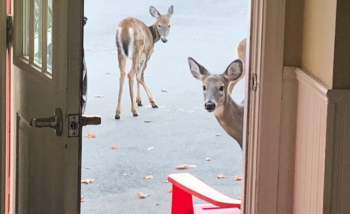 Photo of Others in Quispamsis