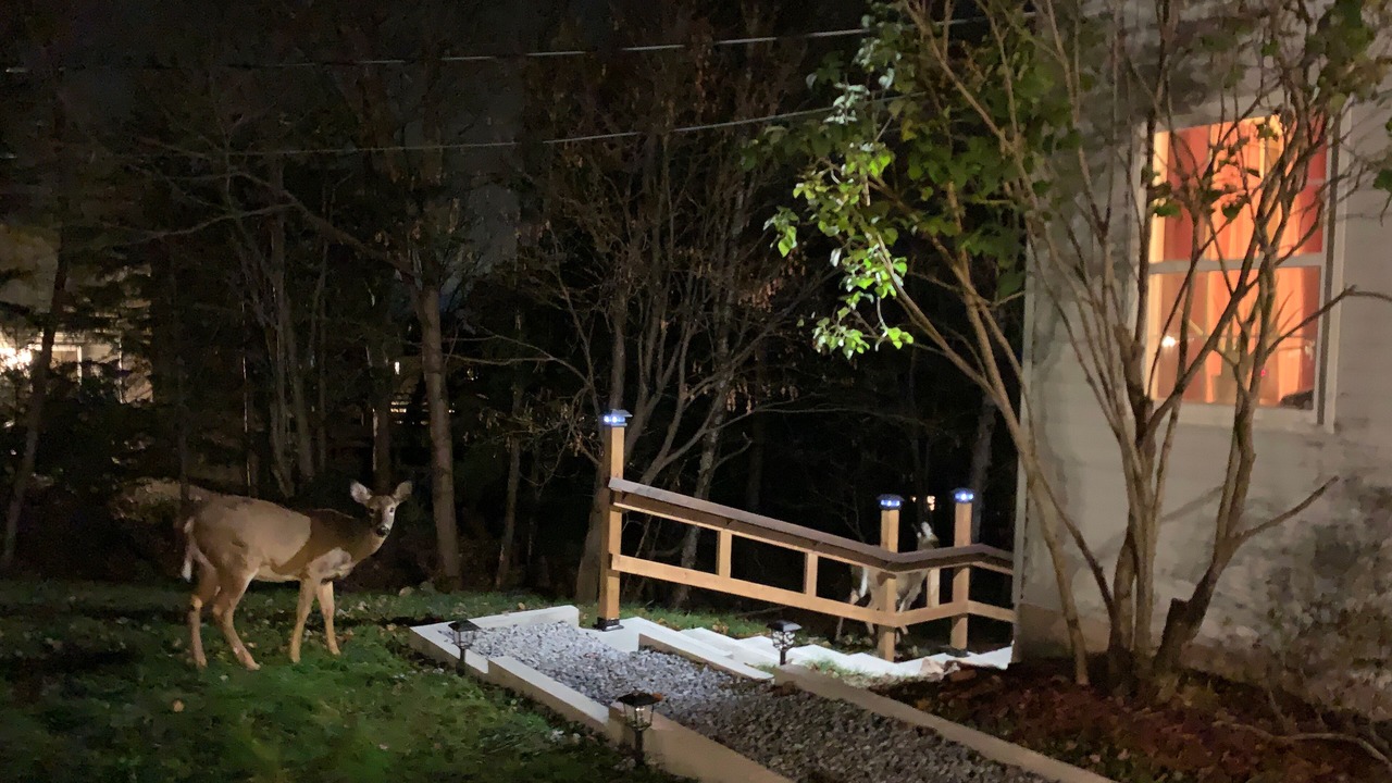 Photo of Outdoor in Quispamsis