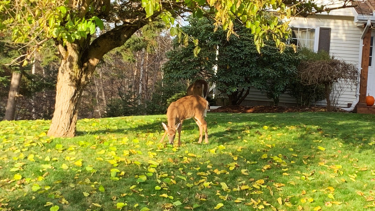 Photo of Outdoor in Quispamsis