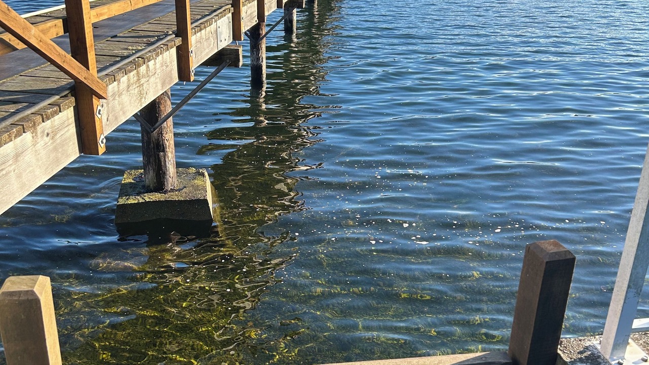 Photo of Others in Sooke