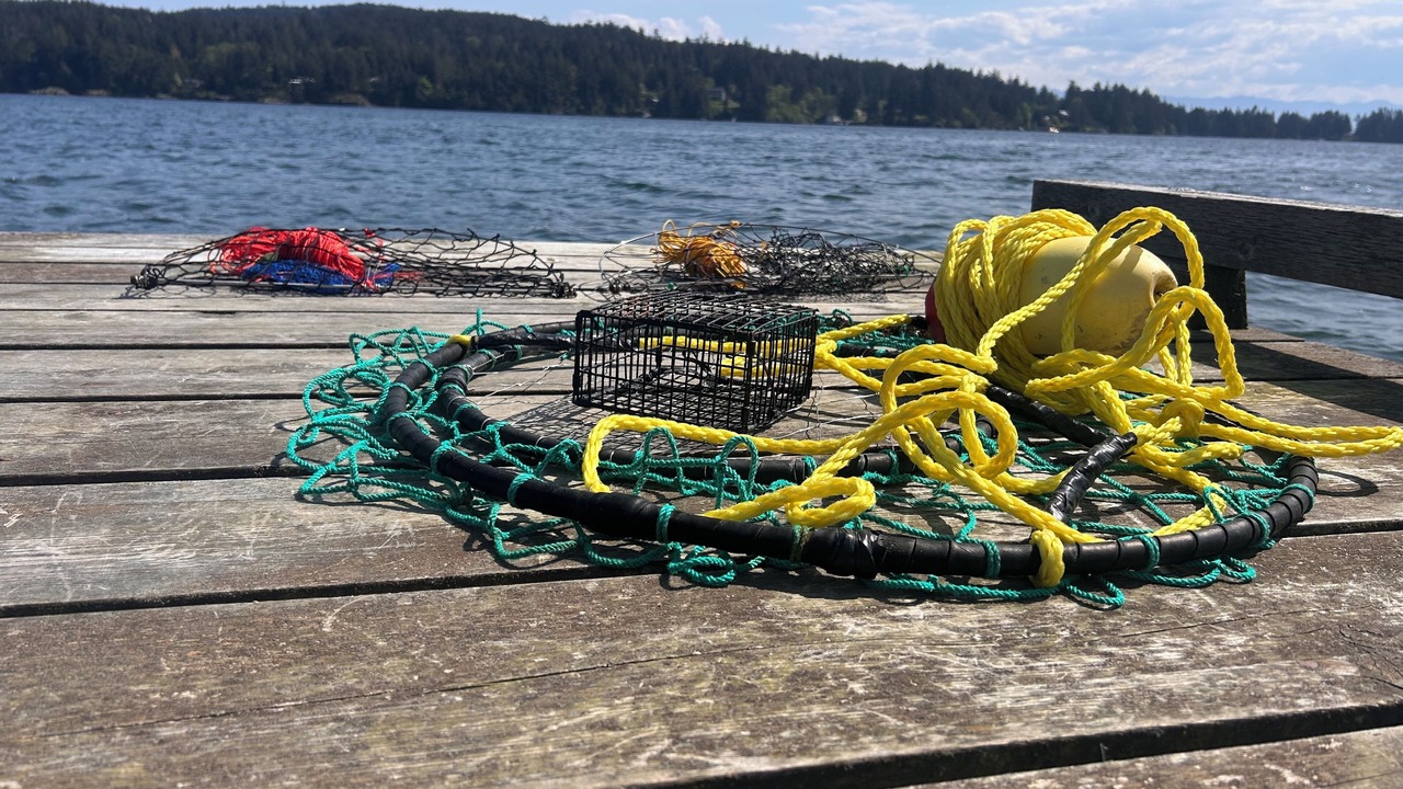 Photo of Others in Sooke