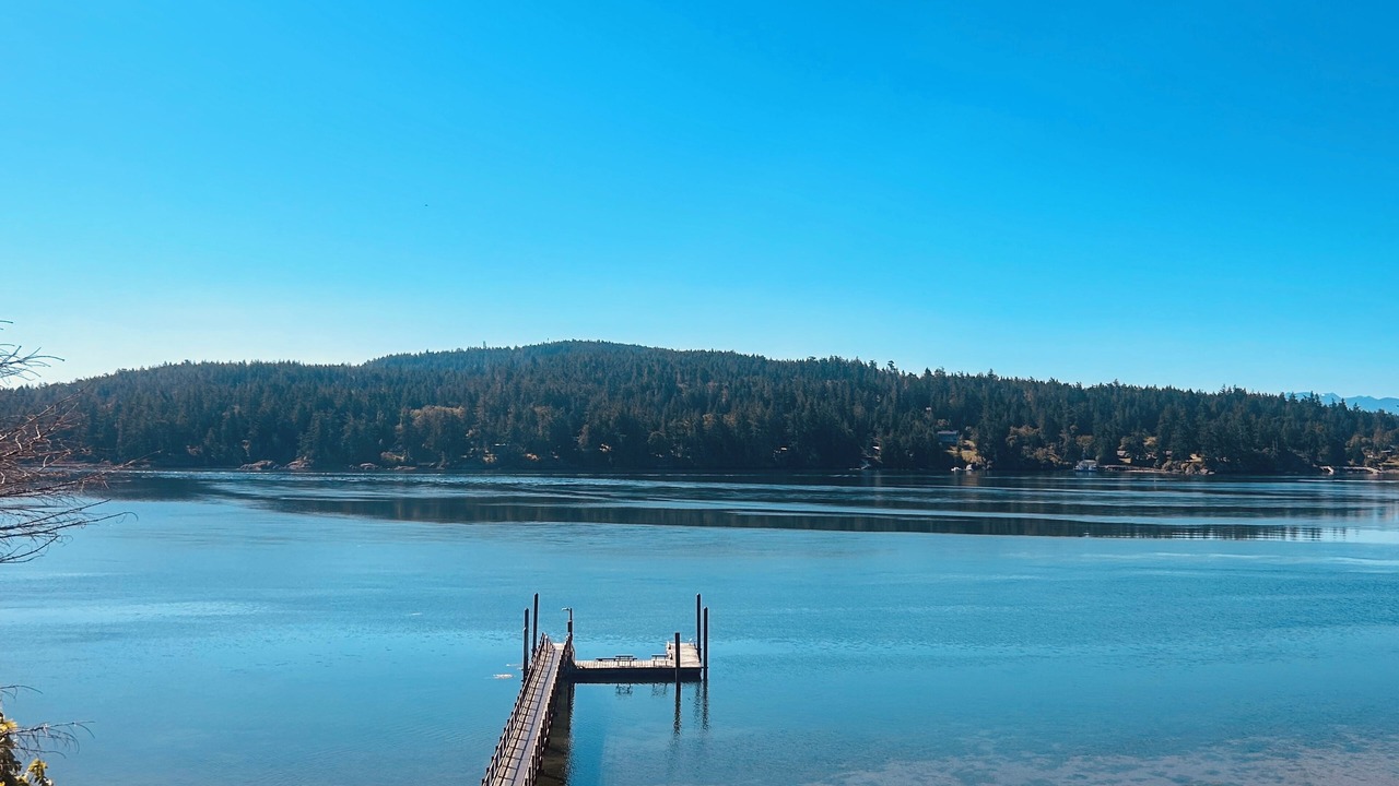 Photo of Others in Sooke