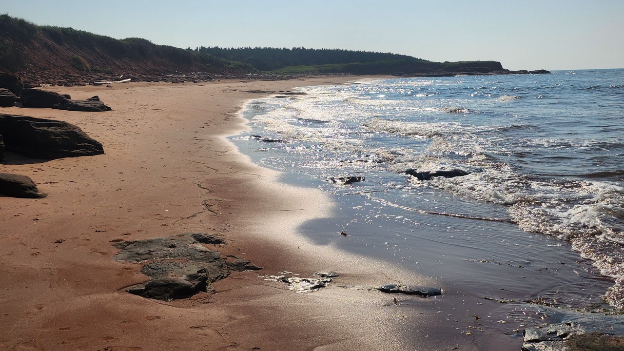 Photo of Others in Saint Peters Bay