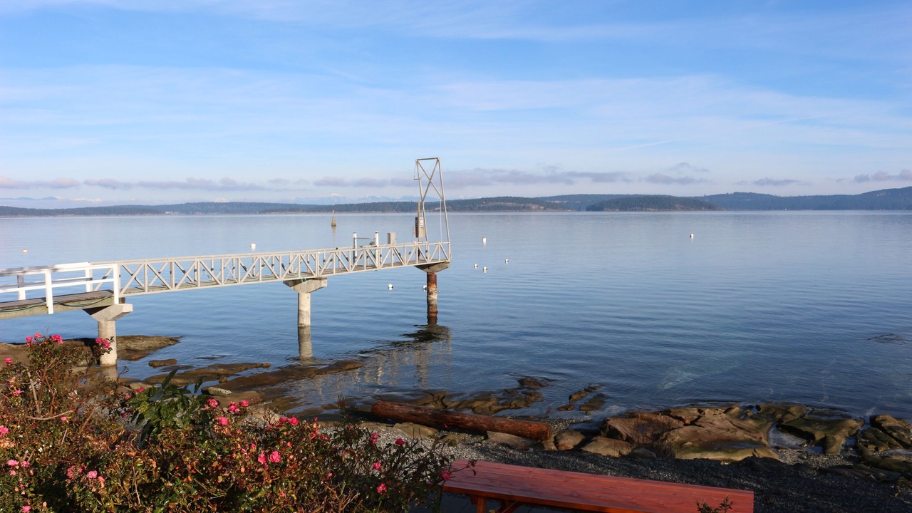 Photo of Outdoor in North Oyster