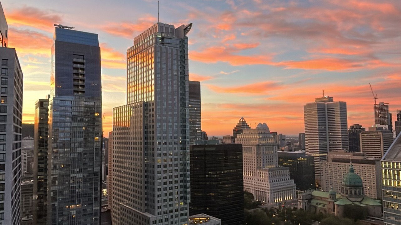 Photo of Others in Montreal