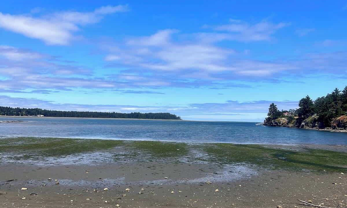 Photo of Others in Regional District of Nanaimo