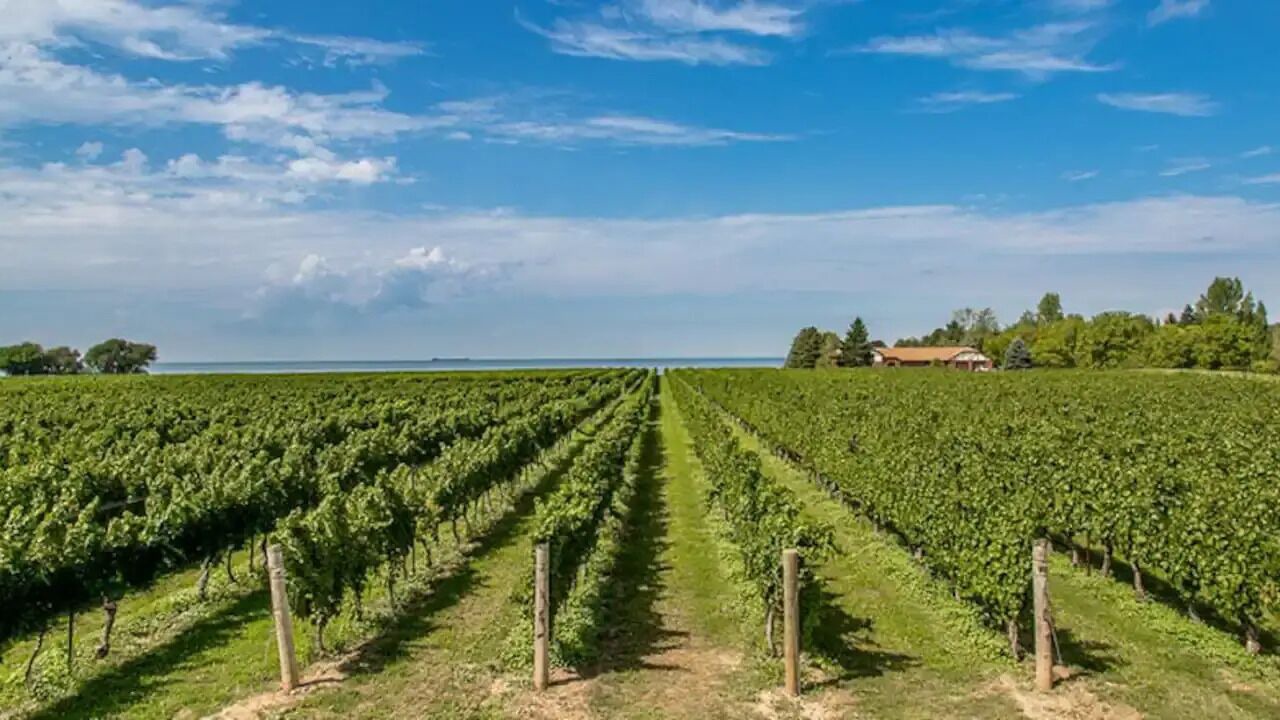 Photo of Others in Niagara-on-the-Lake