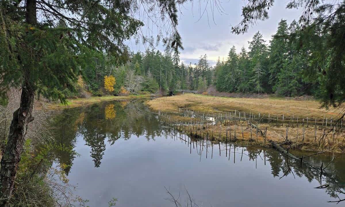 Photo of Others in Regional District of Nanaimo