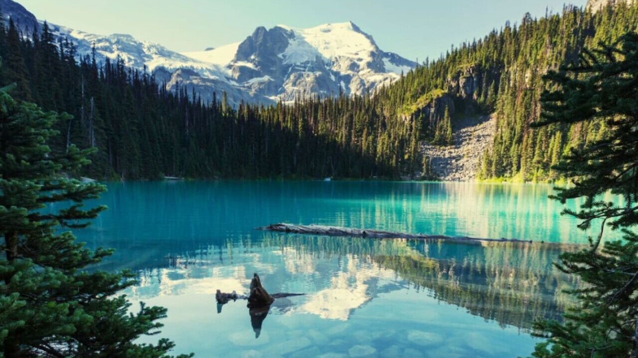 Photo of Others in Blackcomb