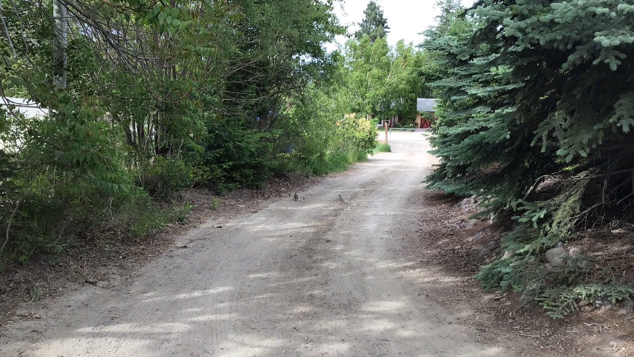 Photo of Others in West Kelowna Estates