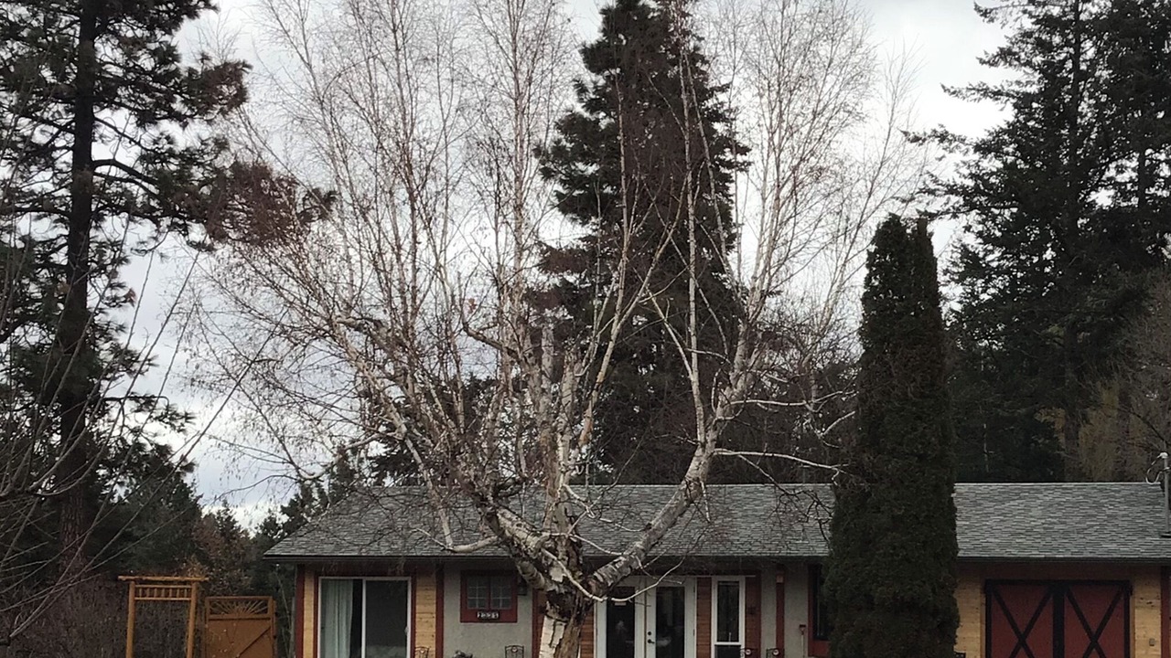 Photo of Outdoor in West Kelowna Estates