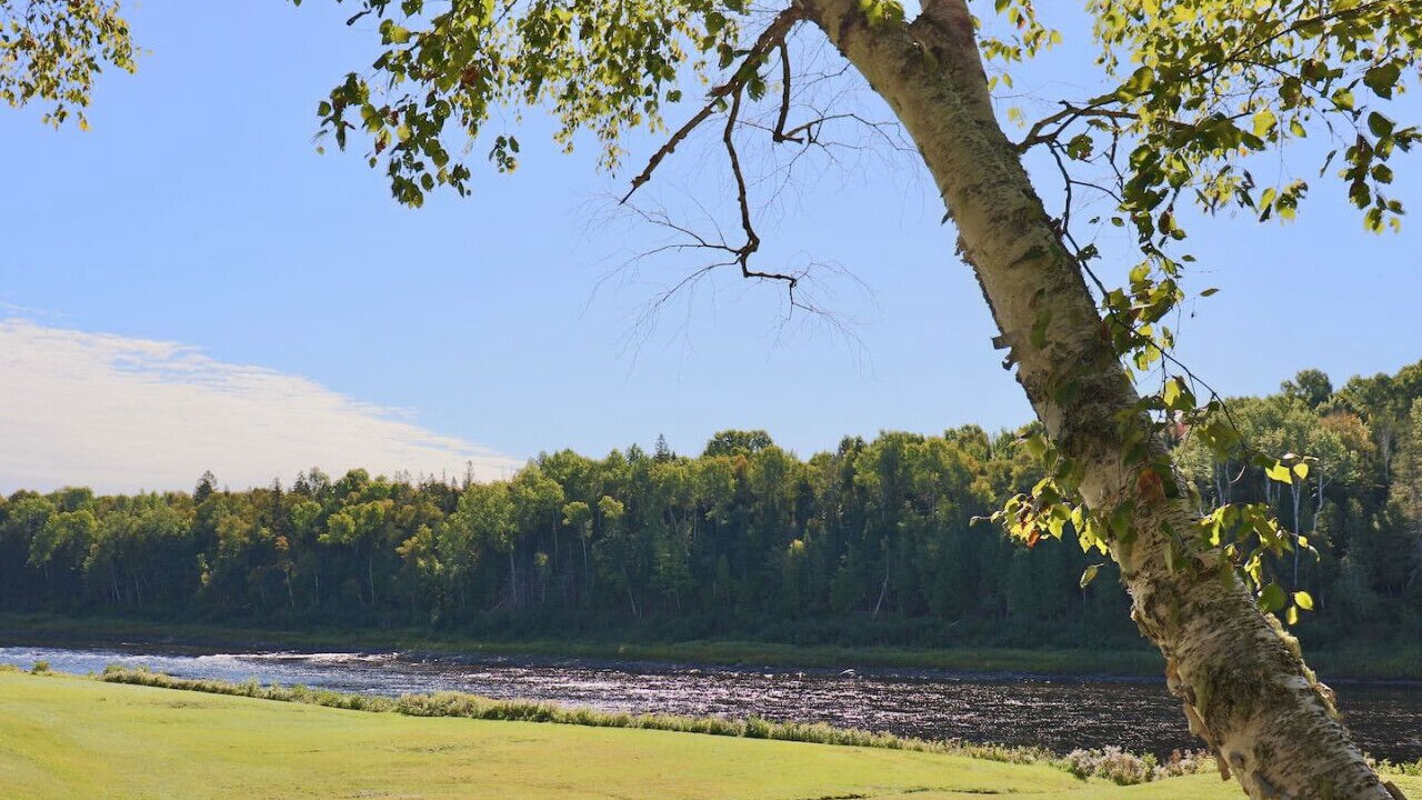 Photo of Others in Red Bank