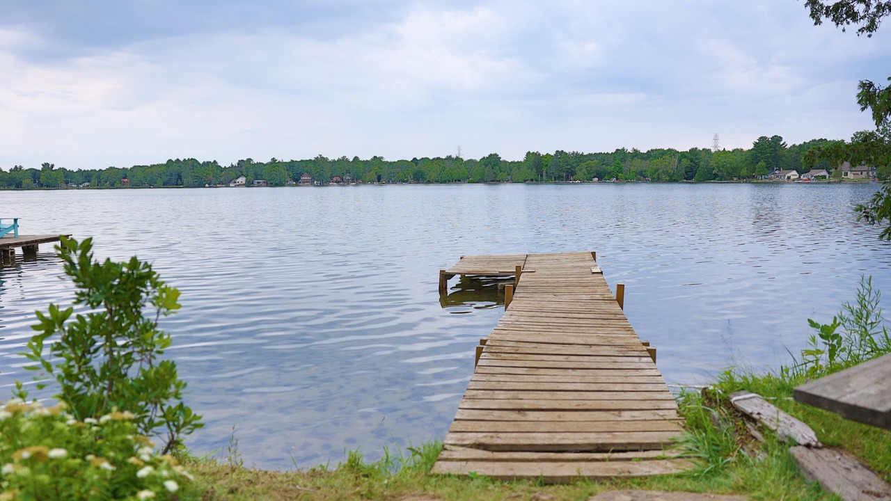 Photo of Outdoor in Washago