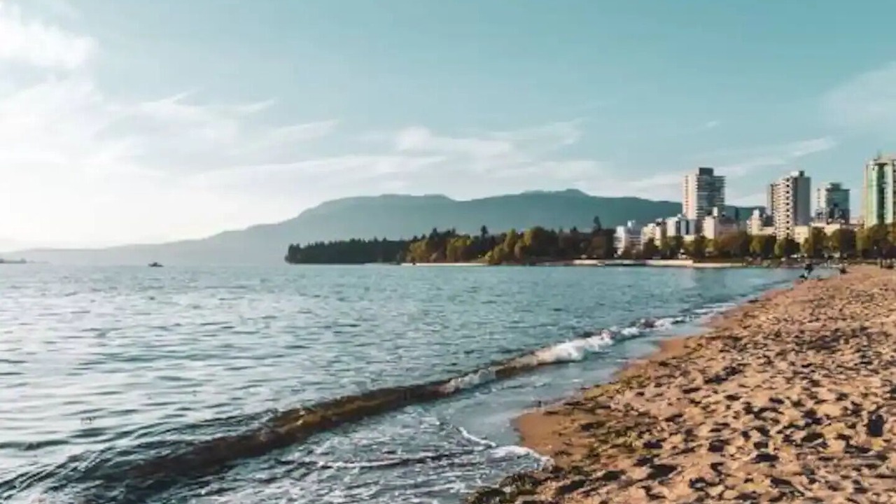 Photo of Others in Kitsilano