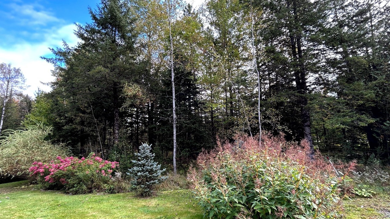 Photo of Outdoor in Stanstead Township