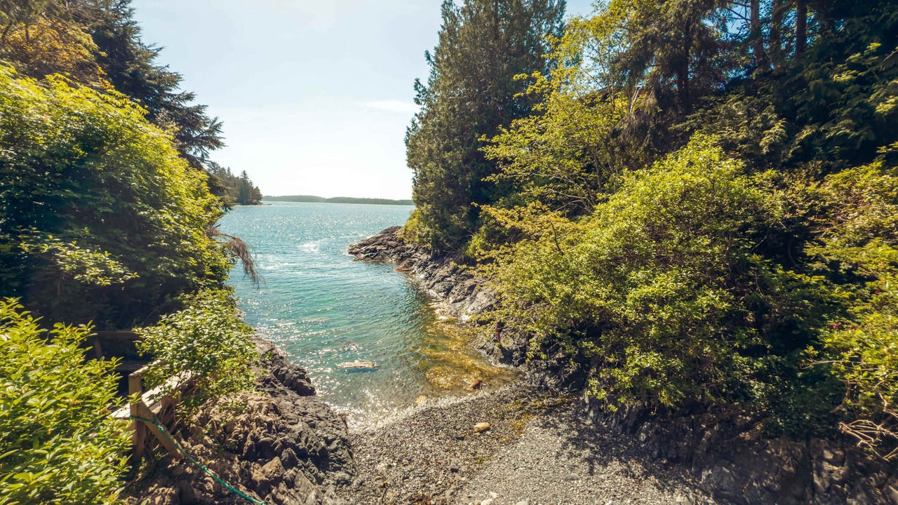 Photo of Others in Tofino