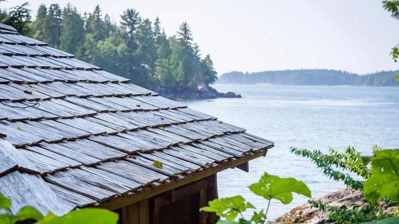 Photo of Others in Tofino