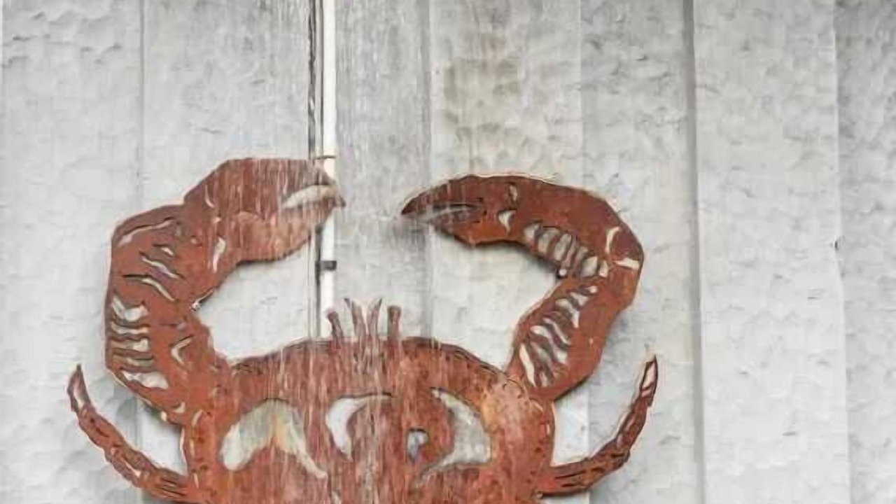 Photo of Others in Tofino