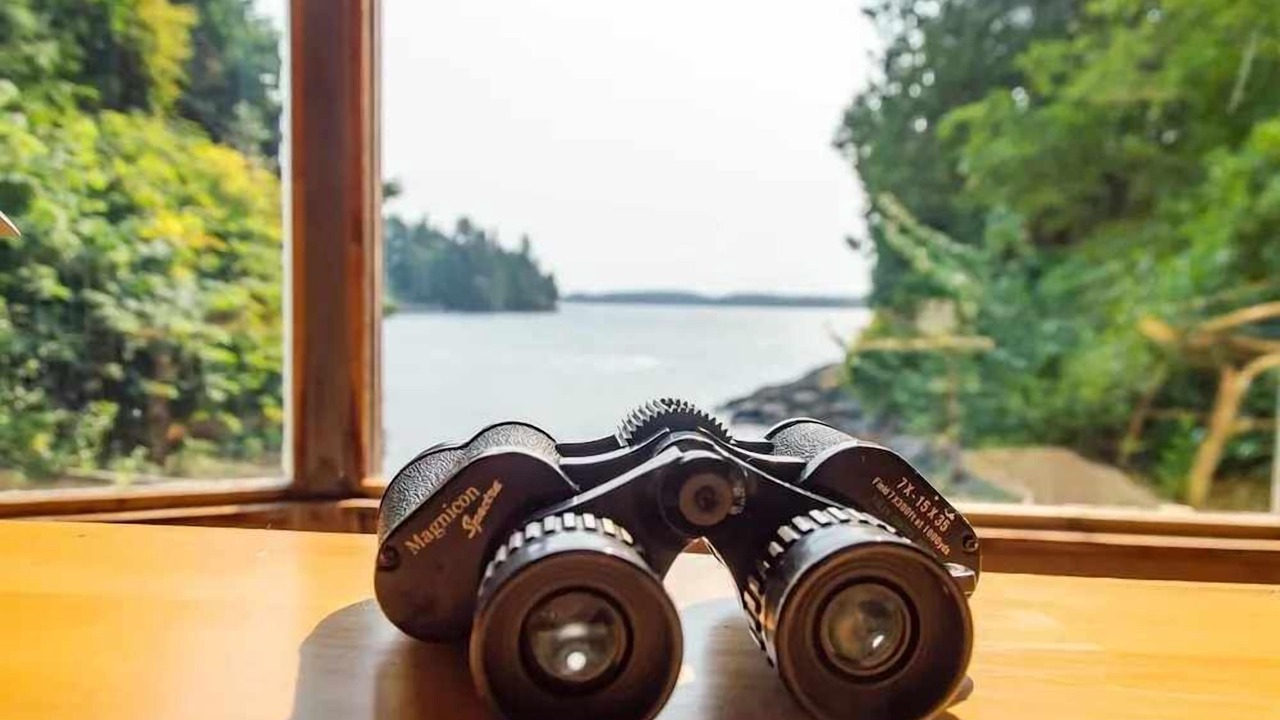 Photo of Others in Tofino