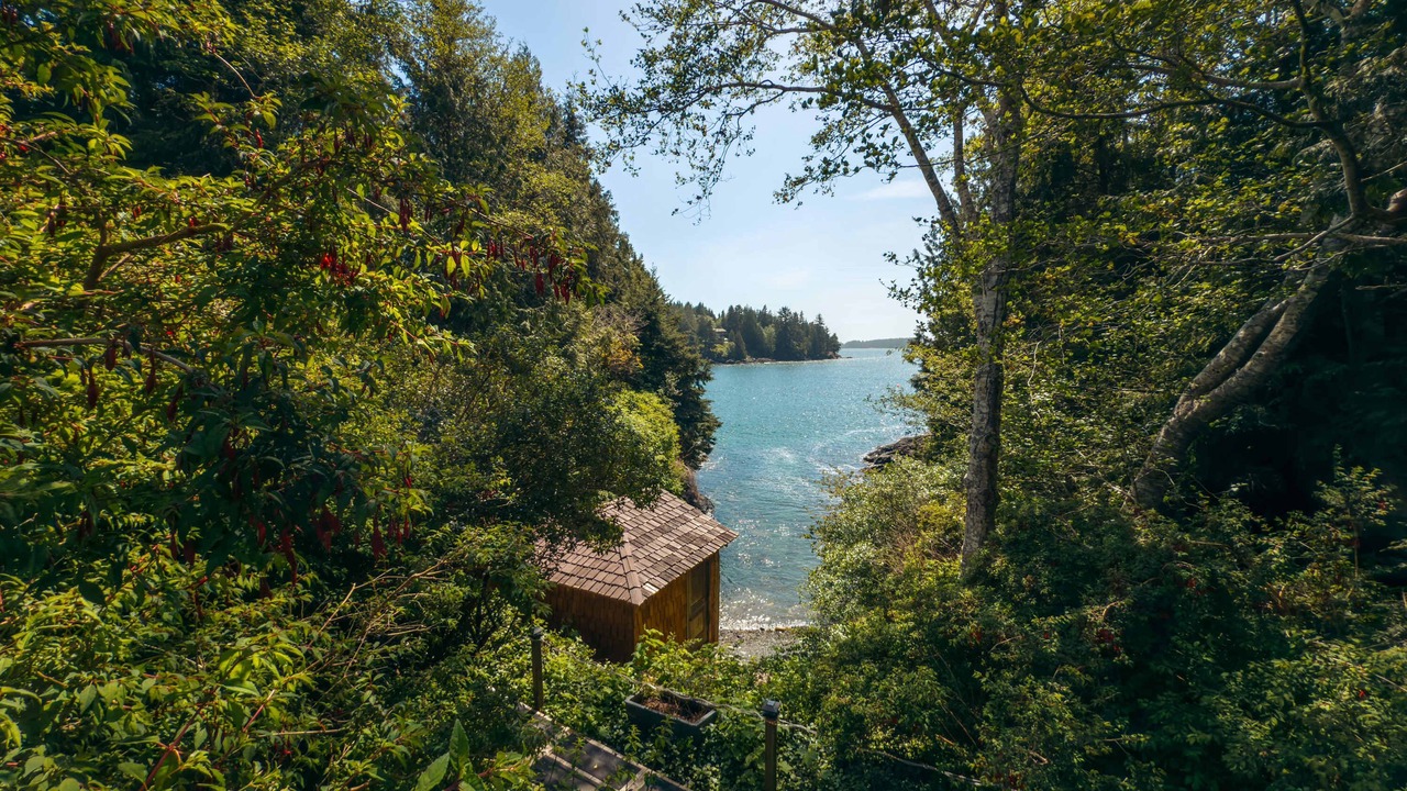 Photo of Others in Tofino