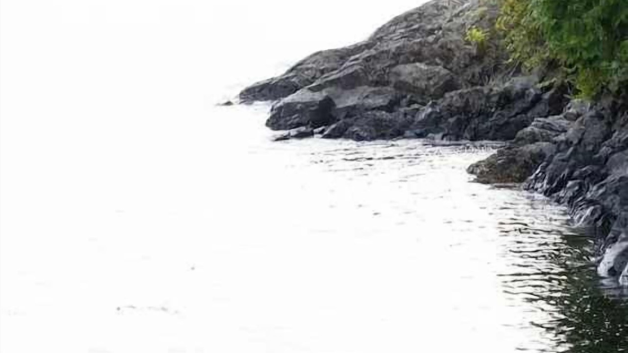 Photo of Others in Tofino