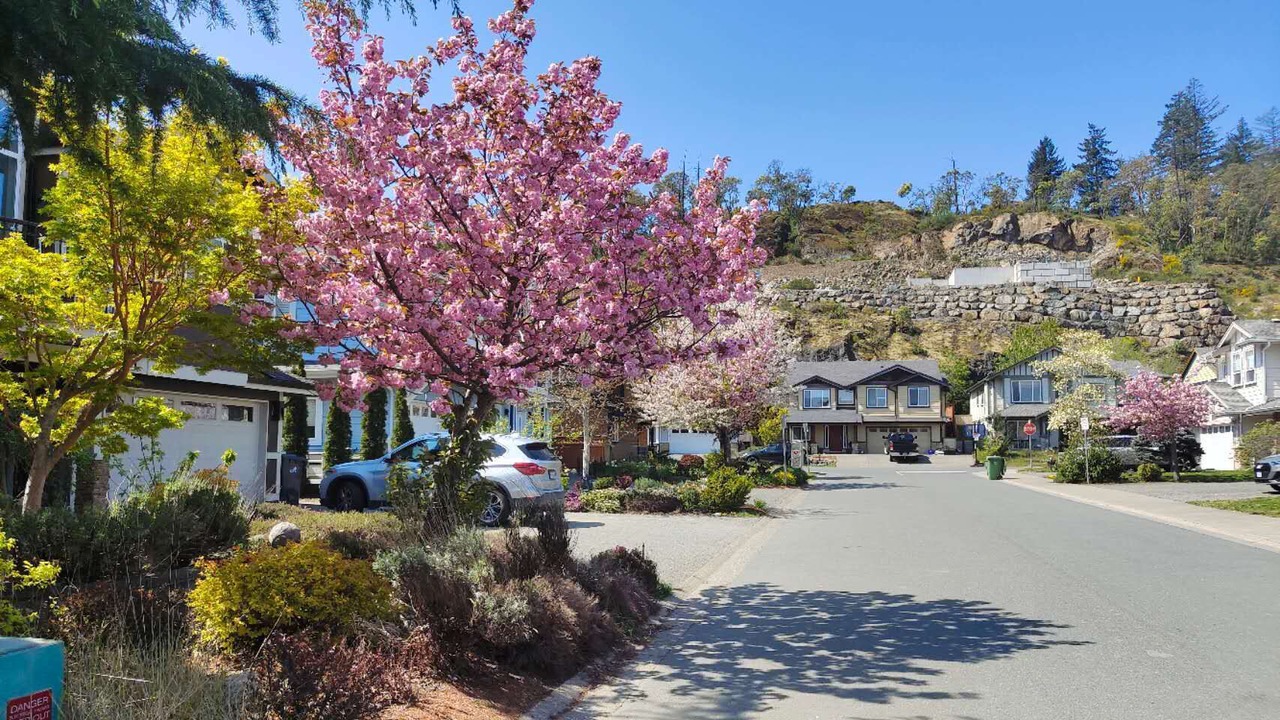 Photo of Outdoor in Langford