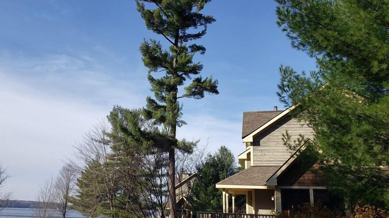 Photo of Outdoor in Port Carling