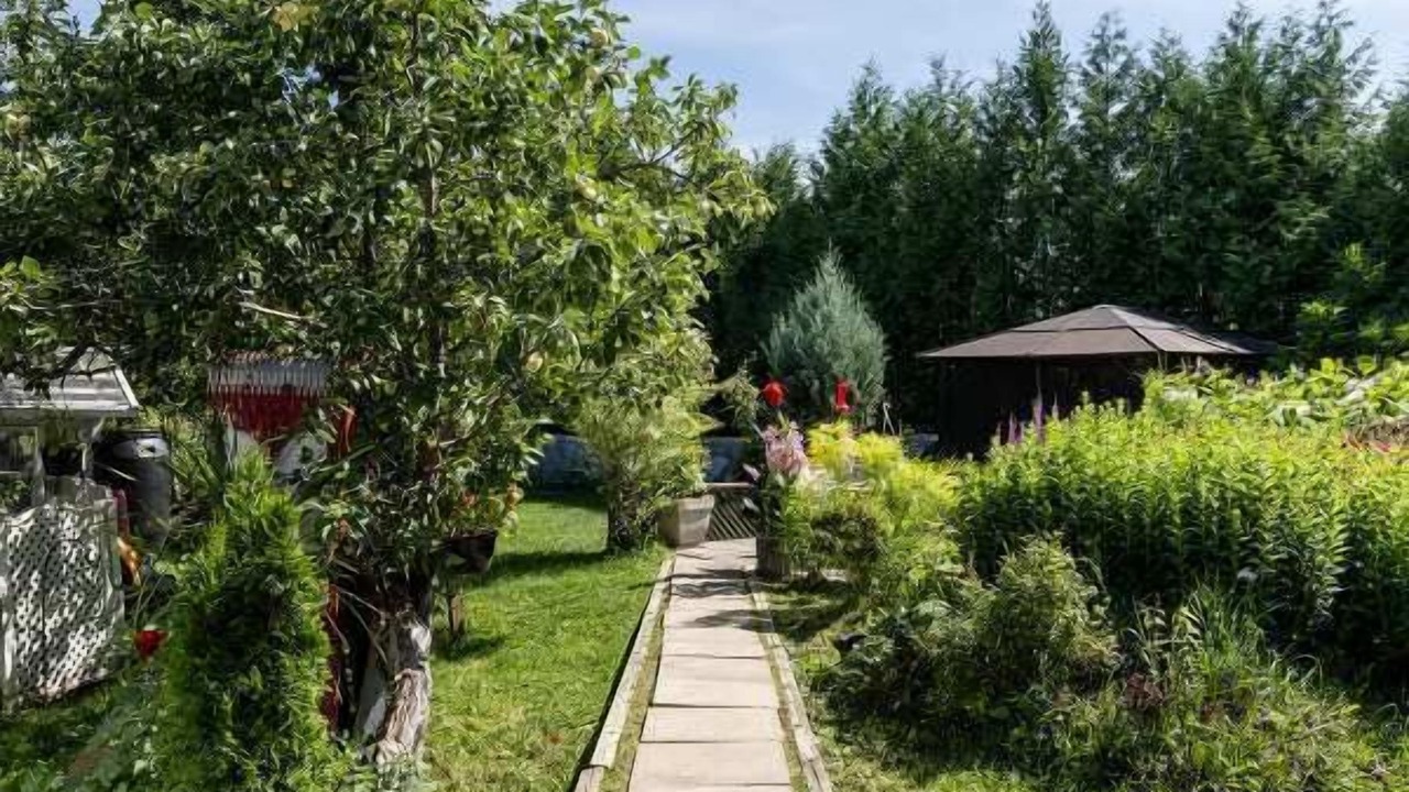 Photo of Others in Petite-Riviere-Saint-Francois
