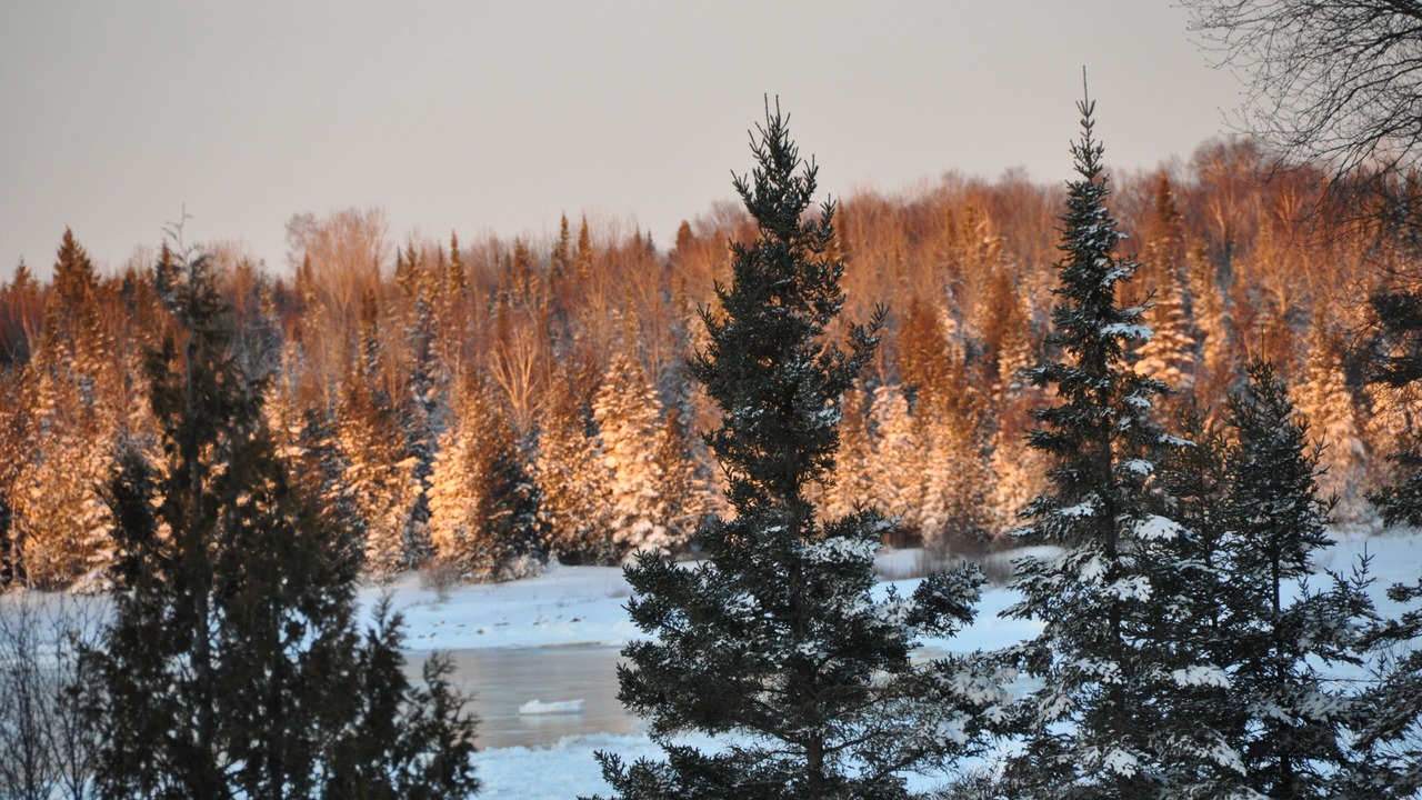 Photo of Others in Manitoulin District