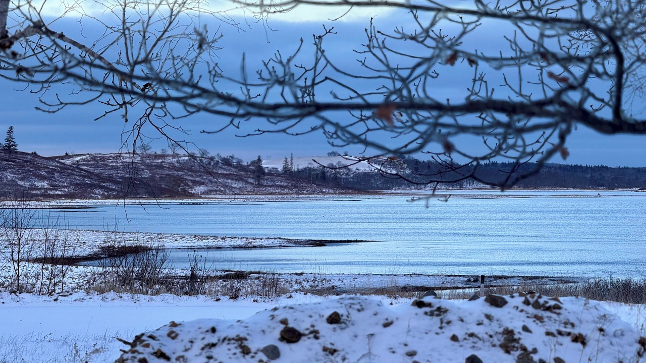 Photo of Others in Yarmouth County