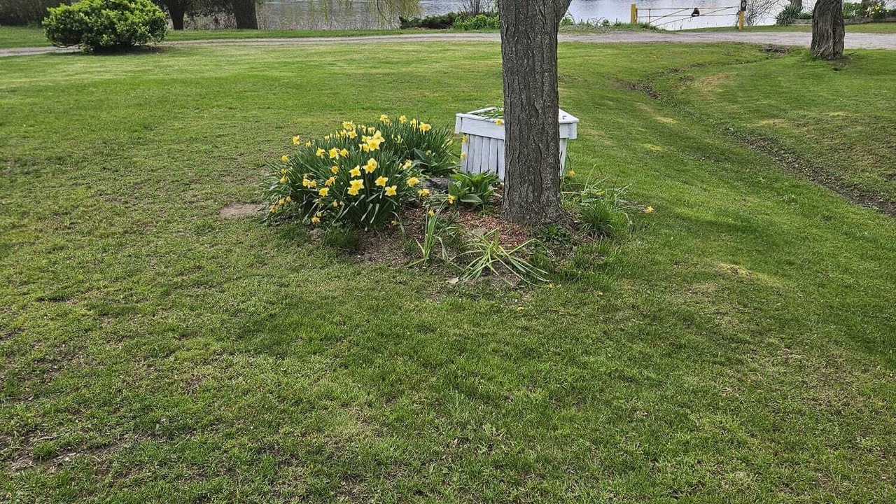 Photo of Outdoor in Quinte West